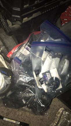 5 1Gallon bags of Mugen parts (will be sorted for just Truggy)