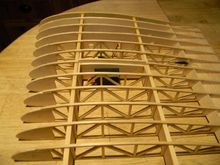 False rib standing proud of its neighbors.