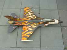 Great colour scheme for visibility, with cream belly for a contrast.