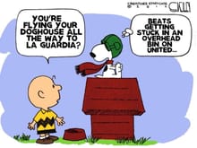 You can't blame Snoopy on this one!