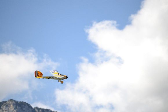 My entry, Bertie Baron, in flight 2019.