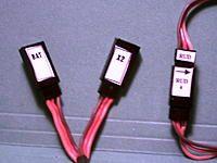 Male and female size labels that are made with Avery Mailing label material.