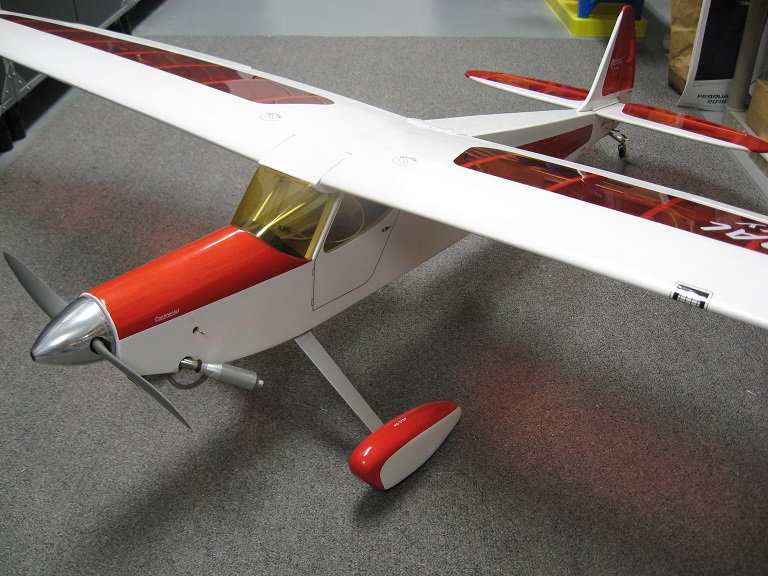 rc rascal airplane