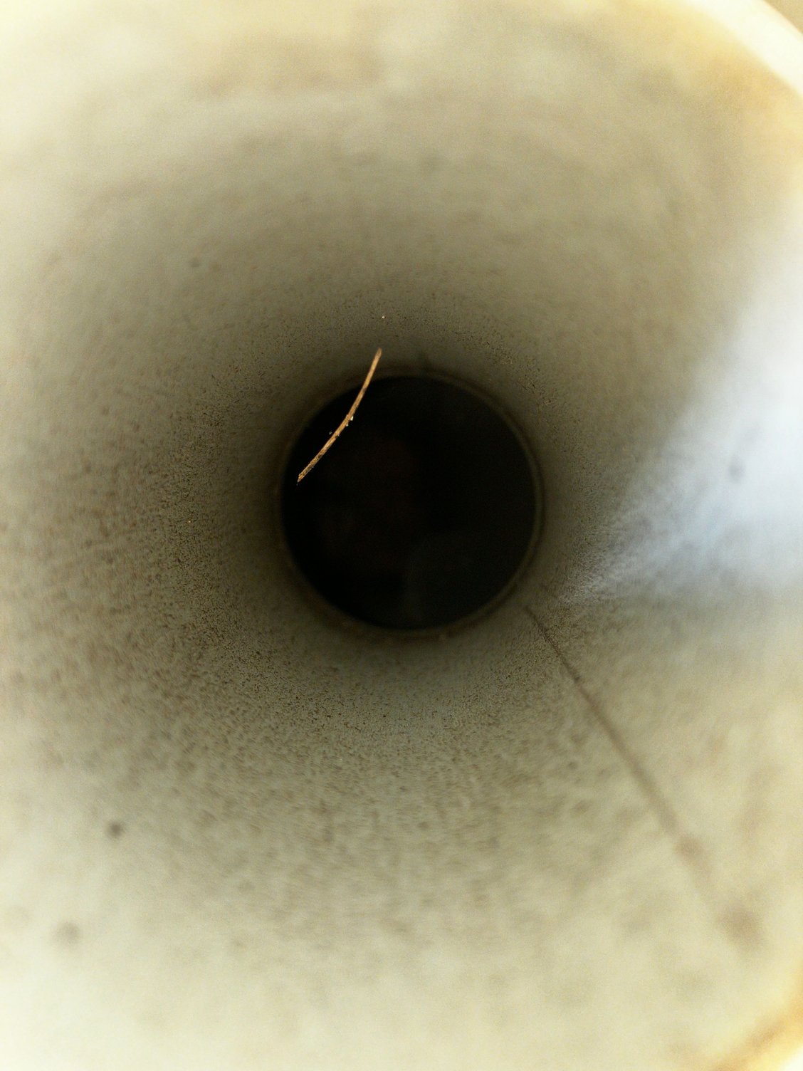 That better not be a tail