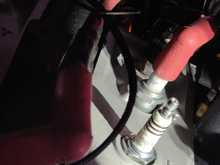 My Post Pictures
