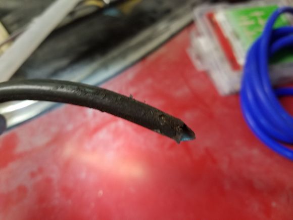 As you can see it is rusted really bad,i guess from the extra pressure, it blew out. It was so bad that when i removed the hose from it ,it broke