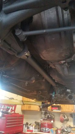 custom tailshaft