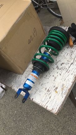 Have not established which version Tien Springs these are yet.