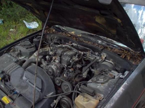 Eventually there was an engine fire, which claimed that poor car. After that I had an MX-3 V6, and a '96 Protege.