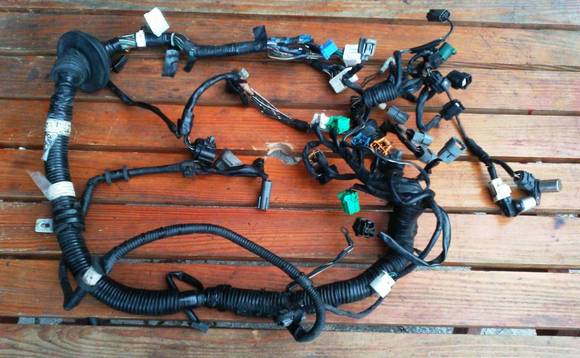 Version 4 Emissions Harness (possibly with subharnesses).