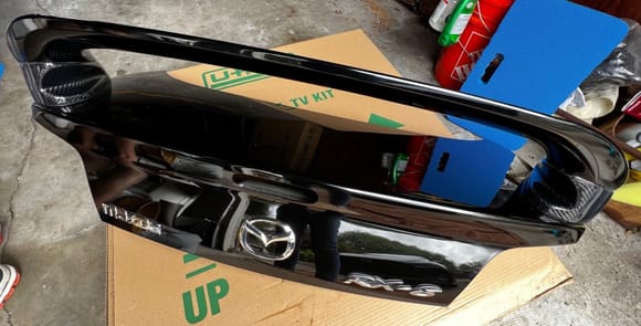 oem trunk with risers 