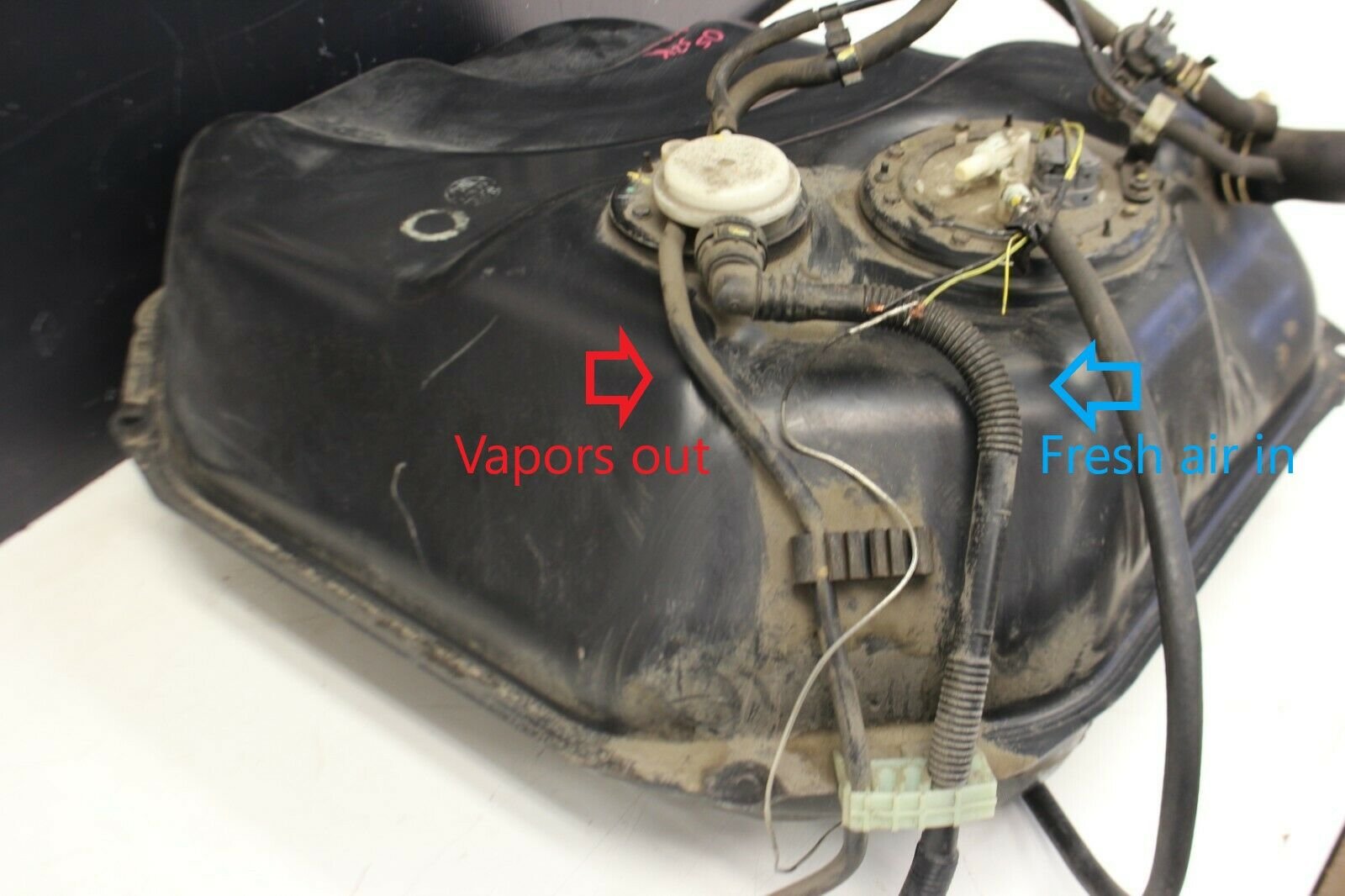 DIY Evap system removal (proper way) S2KI Honda S2000 Forums