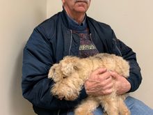 Sydney just before she crossed the Rainbow bridge last week. She had been sedated and is resting in my arms  for the last time RIP Sweet Sydney