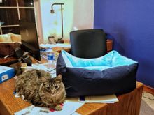 2-18-2018.  Nice beds you got me mom, that I will ignore.