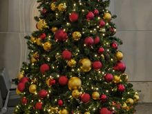 ^12-4-2023.  SNA Christmas tree.