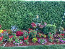 Part of the back flower garden 
