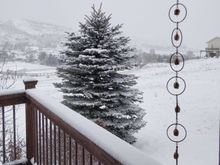^I love snow on trees.


