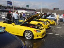 DSC03561.jpg