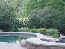 Backyard 011.jpg