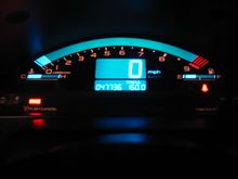 IMG_8405.JPG