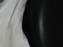 IMG_0759.jpg