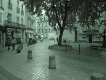 DSC00218.jpg