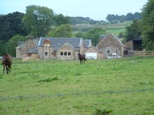 houses