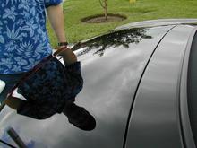 trunk reflection.JPG