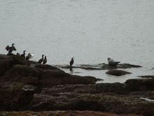 DSCF0029.JPG