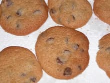 More cookies 11-19-2004
