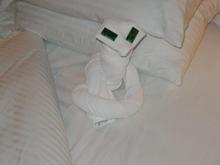 Towel art snake.jpg