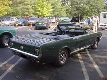 Mustang 2 Rear.jpg
