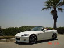 s2k palm 3!.JPG