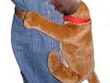 humpj.jpg