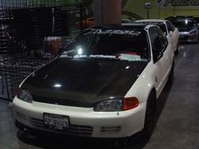 Copy of DSC00542.JPG