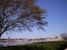 ViewFromTheJeffMemorial