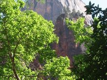 IMG_0213.jpg