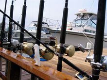 IMG_3896.jpg