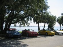 Safety Harbor 002 small.jpg