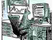 cats revenge