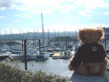 Stooky at Conwy Marina 1.jpg