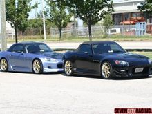 IMG_1317.jpg
