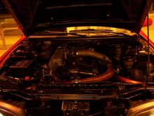 100_0368.JPG
