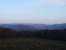 Dsc02768.jpg