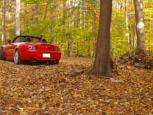 Forest S2000