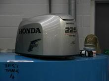 IMG_0020 (Medium).JPG