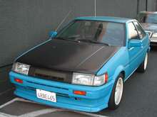 MyLevin4.jpg