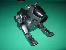 Aibo12.jpg