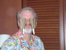 Pat the Party Animal