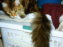 img007.jpg